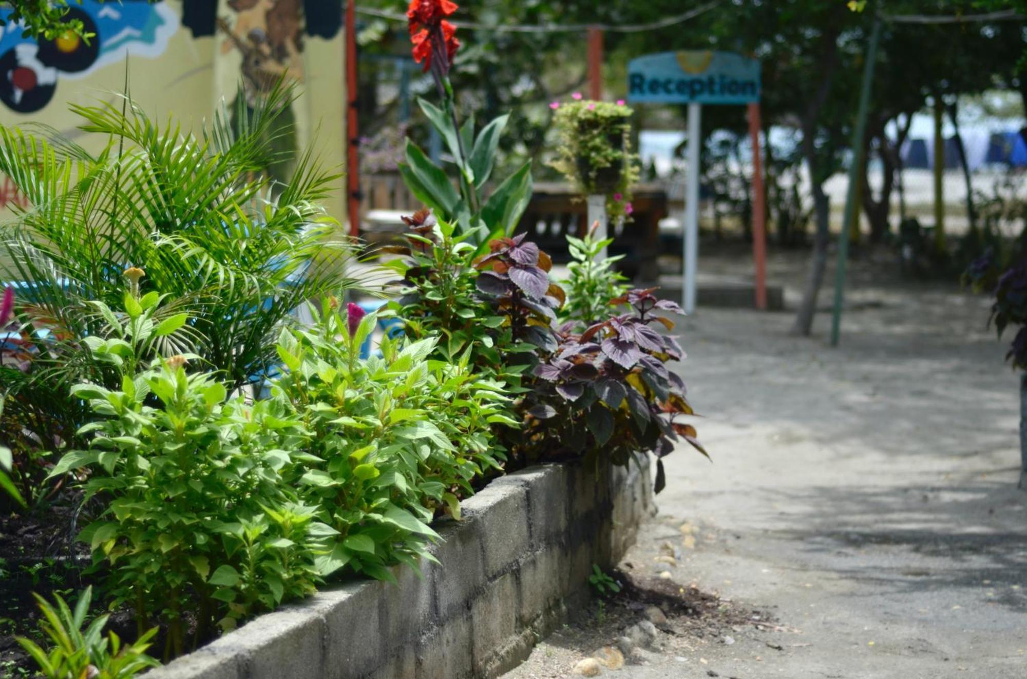 Playa Del Ritmo Beach Hostel & Bar - Adults Only Santa Marta  Luaran gambar